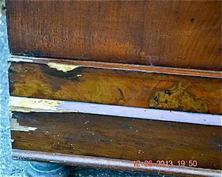 Biedermeier-Schrank, Nussbaum, Süddeutschland, Ansicht 5