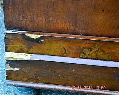 Biedermeier-Schrank, Nussbaum, Süddeutschland, Ansicht 5