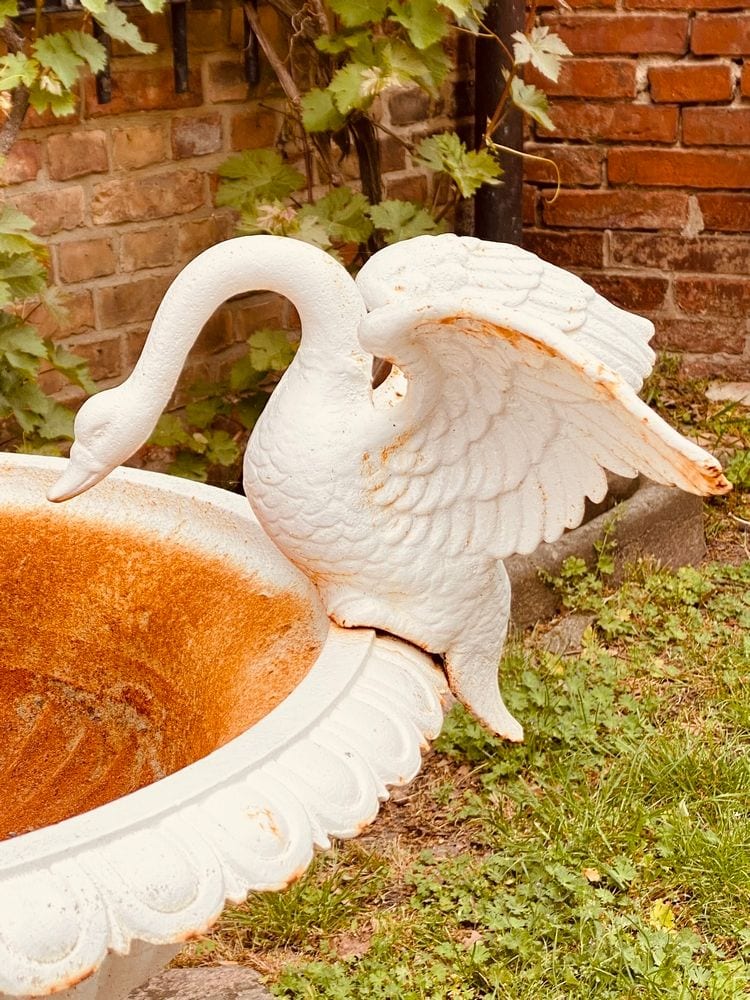Schwanenbrunnen, Brunnenschale aus Gusseisen auf Sandsteinsockel, Ansicht 7