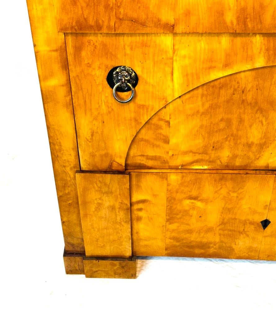 Biedermeier-Kommode, Birke, Berlin um 1820, Segmentbogen und Bronzelöwen, Ansicht 5