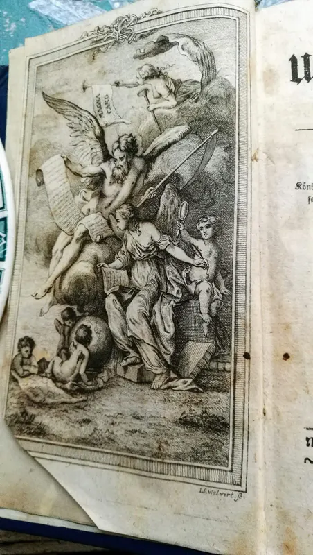 Weltgeschichte in zwölf Bänden Des Herrn Abt Millot, 12 Bände, gedruckt 1777, Ansicht 3