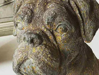 Paar Hundefiguren aus Gusseisen, Boxer oder Bulldogge, Ansicht 3