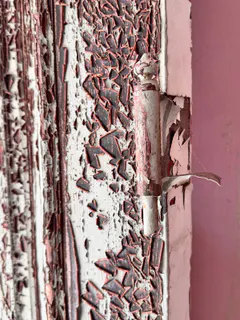 Historische Türen aus Gutshaus, Große Türflügel, Nadelholz, Mecklenburg 19. Jhd., Ansicht 2