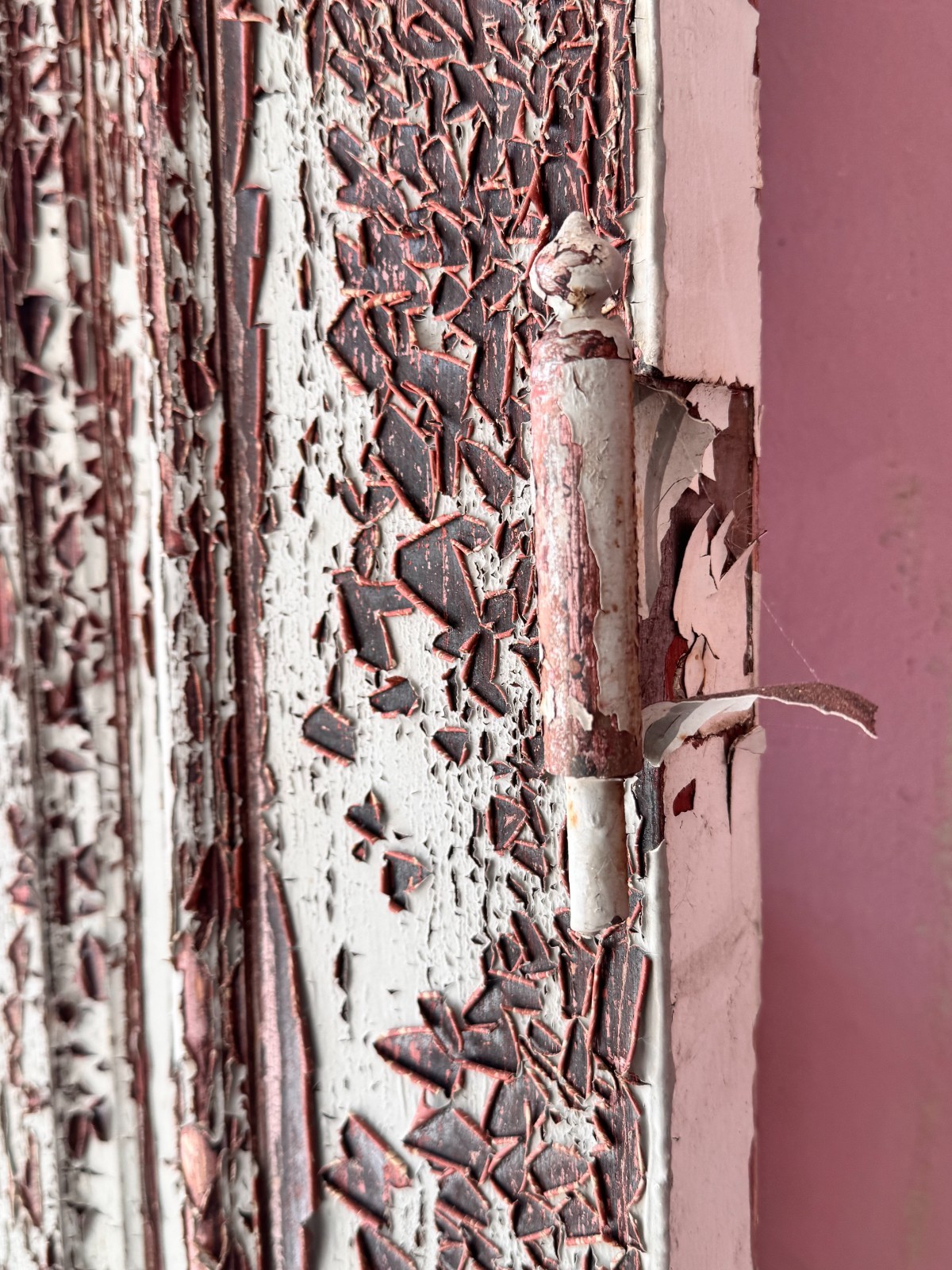 HistorischeTüren aus Gutshaus, Große Türflügel, Nadelholz, Mecklenburg 19. Jhd. — Ansicht 2